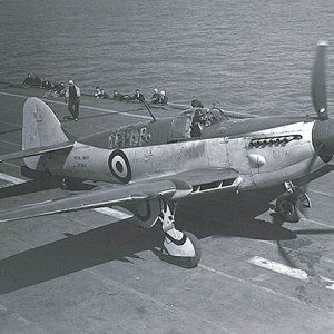 Fairey_Firefly_ExCC.jpg