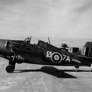 grumman-marlet-mk-ii-888-squadron-fleet-air-arm-hms-formidable-december-1942.jpg