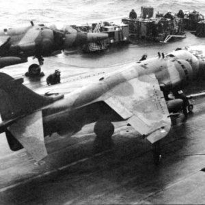 harrier_06.jpg