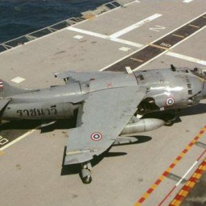 harrier_40.jpg