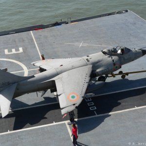 Harrier14.jpg