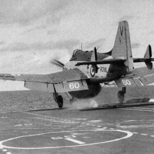 hms_victorious_cs_gannet.jpg