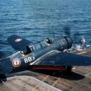 normal_Helldiver_Langevin_Indo059.jpg