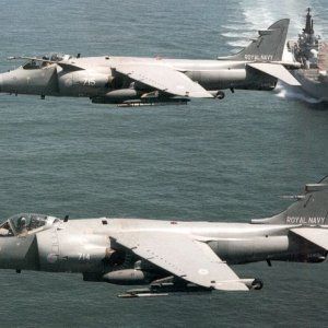 sea_harrier_faa.jpg