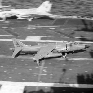 Sea_Harrier_FRS_Mk1_DN-SN-87-05757.jpeg