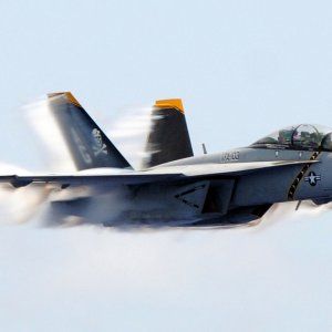 Super-Hornet-Jolly-Rogers-1.jpg