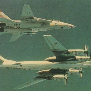 Tomcat-Tu-95MS-Intercept.jpg