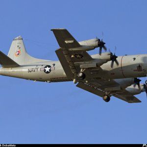 159323-US-Navy-Lockheed-P-3-Orion_PlanespottersNet_326840.jpg