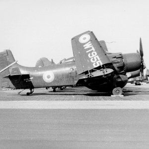 AD-4W_Royal_Navy_NAS_Norfolk_1953.jpg