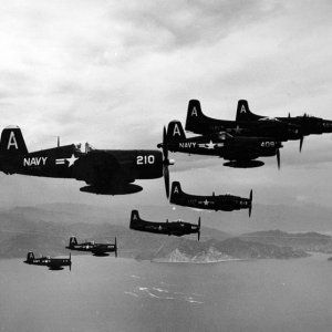 F4U_Corsairs_and_AD_Skyraiders_of_Air_Group_101_off_Korea_1951.jpg