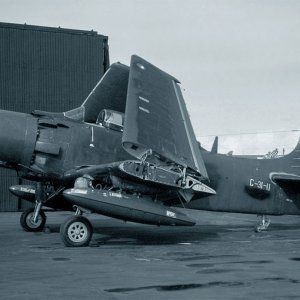 G-31-11_Skyraider_Gordon_Macadie_1280.jpg