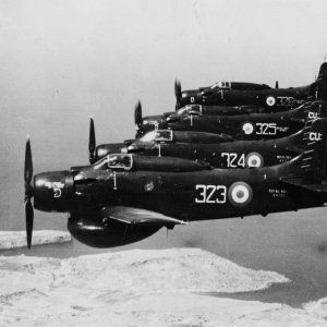 Skyraider_AEW1_778_RNAS_Culdrose~0.jpg