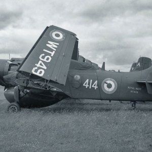 WT949_Skyraider_Gordon_Macadie_1280a~0.jpg