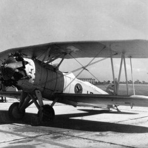 A_Curtiss_F8C_Helldiver_attached_to_Fighter_Squadron_ONE_Bombing_28VF-1B29.jpg