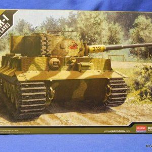 Academy13314Tiger1LateBox.JPG