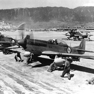 F-51Ds_2_Sqn_SAAF_Korea_May_1951.jpeg