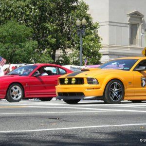Mustangs07.jpg