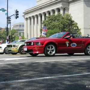 Mustangs05.jpg