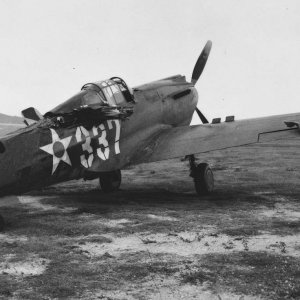 neg_0066_damaged_P-40_after_Japanese_attack_BellowsField_1941.jpg
