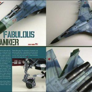 Fabulous_Flanker.jpg