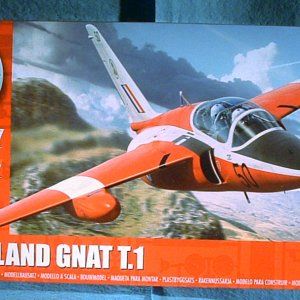 Gnat_I.jpg