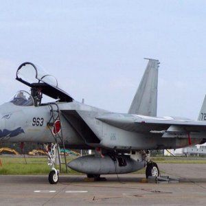 F-15J252520special252520marking252520Nose.jpg