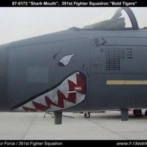 F-15E25252087-0173.jpg