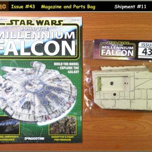 Falcon-Basic-181.jpg