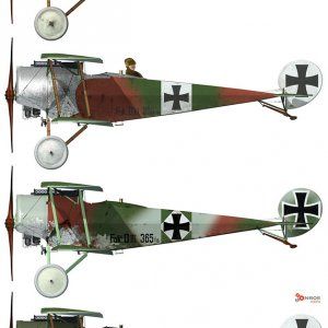 Fokker_D_III.jpg