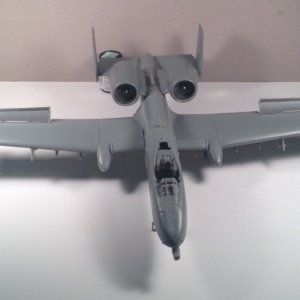 a101.jpg