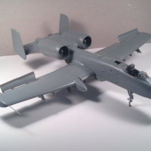 a102.jpg