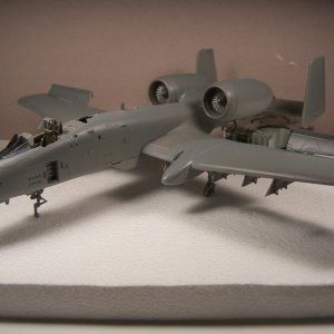 100_8337.jpg