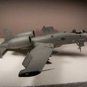 100_8348.jpg