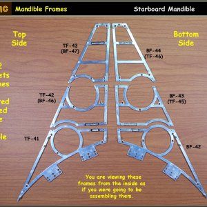 Falcon-Basic-279.jpg