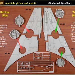 Falcon-Basic-280.jpg