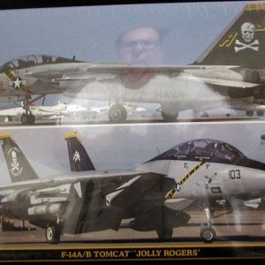 Hasegawa_F-14_Tomcat_Dual_KIt.jpg