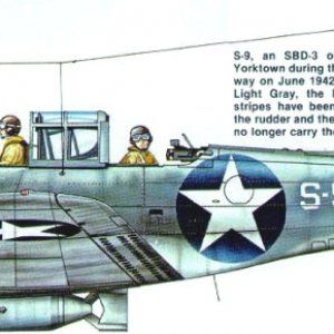 sbd5.jpg