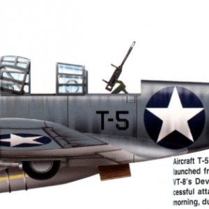 tbd2.jpg