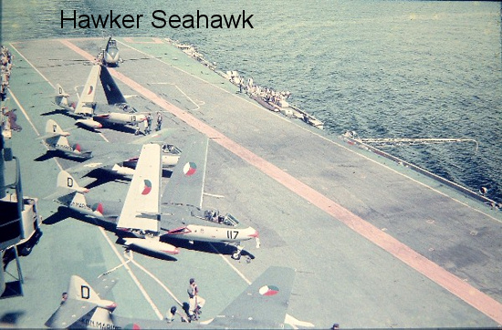 0196_seahawk.jpg