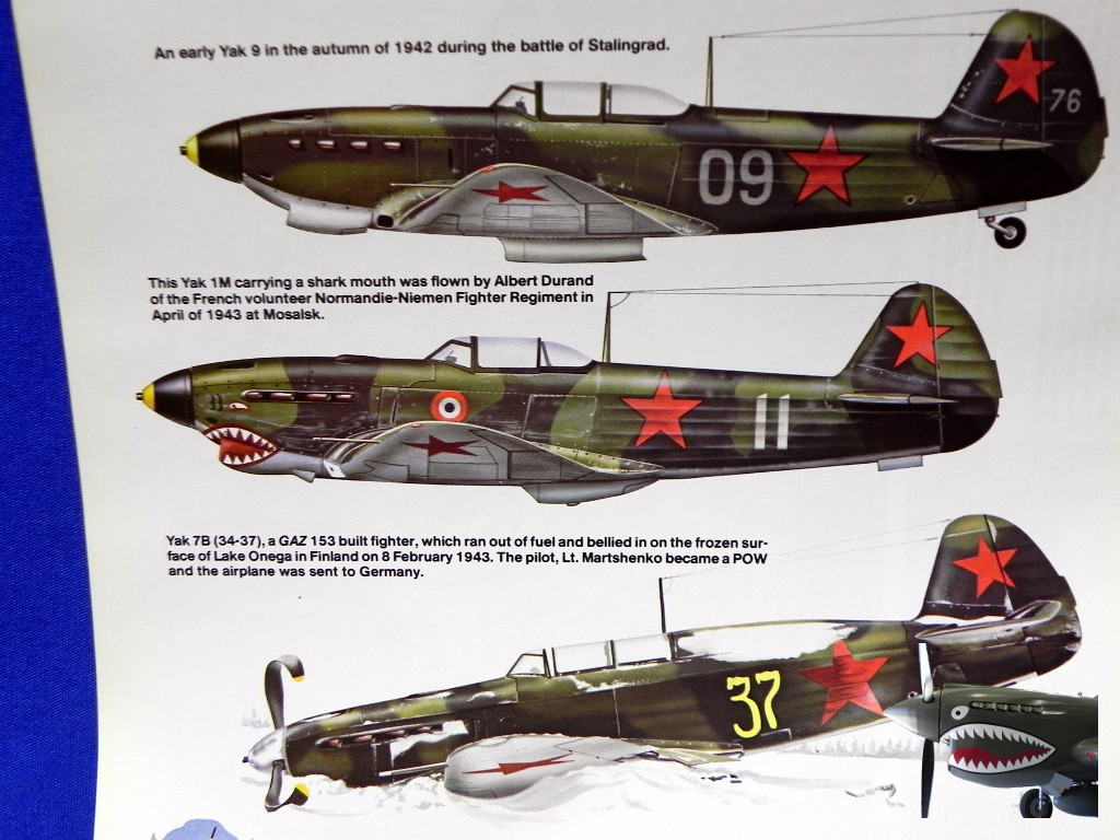 1986SuadronPublicationsYakFighterinAction03.JPG