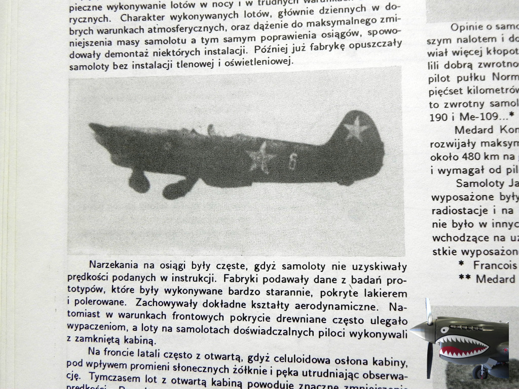 1991v2WingsInMinuature02.JPG
