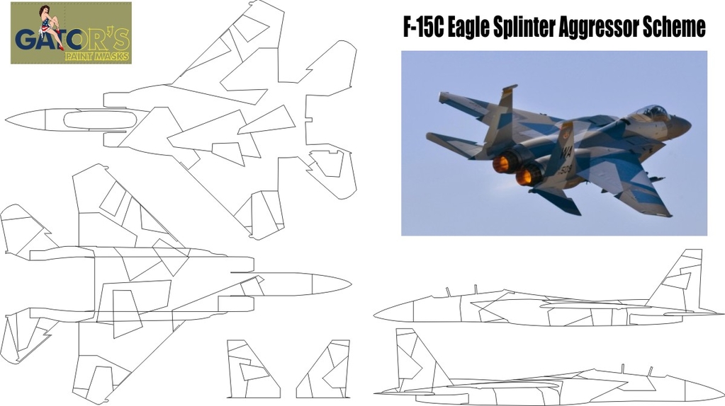 48th_F-15_Splinter_Aggressor_School.jpg
