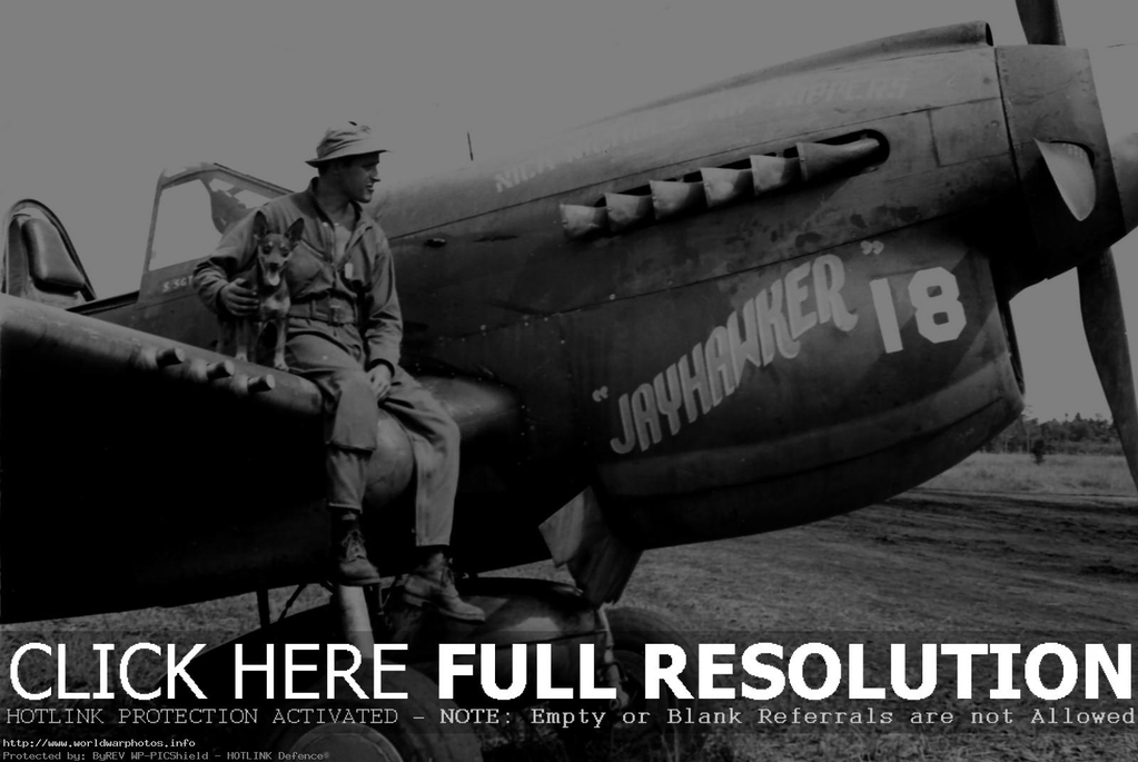 49th_Fighter_Group_P-40_Warhawk_Jayhawker.jpg