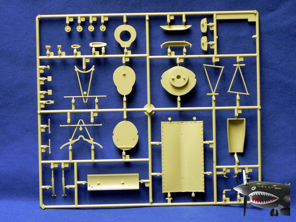 AR48113 014.JPG