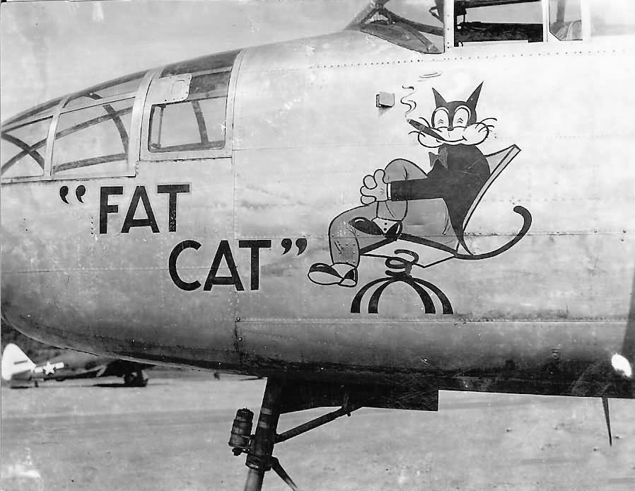 B-25_Mitchell_Fat_Cat_nose_art.jpg
