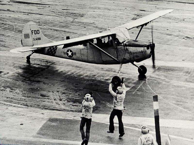 Bird-Dog_tx800.jpg