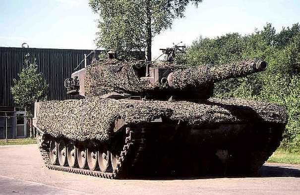 CAMOLEO.jpg