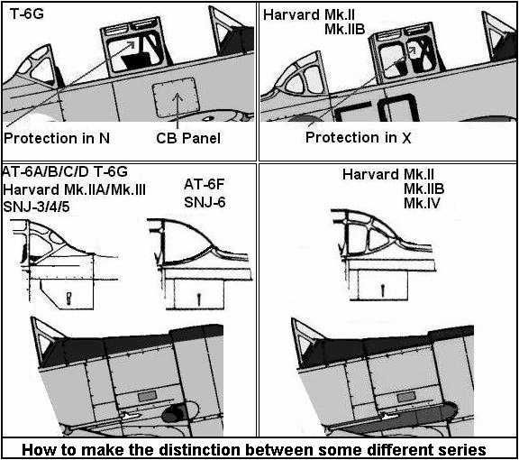 canopyanddoordetails.jpg