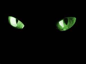 Cat_s_Eyes.jpg