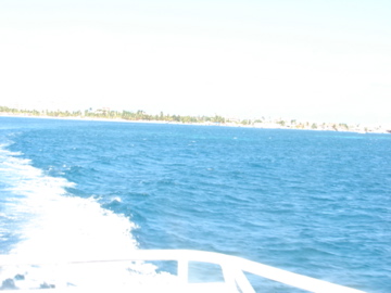 DSC05873.jpg